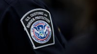 Caught at border with pythons in his pants, New York City man fined and sentenced to probation