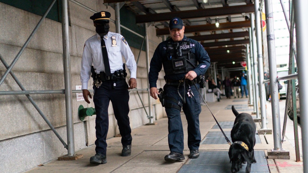 Kansas to increase penalties for harming police dogs – NBC New York - Vimarsana News