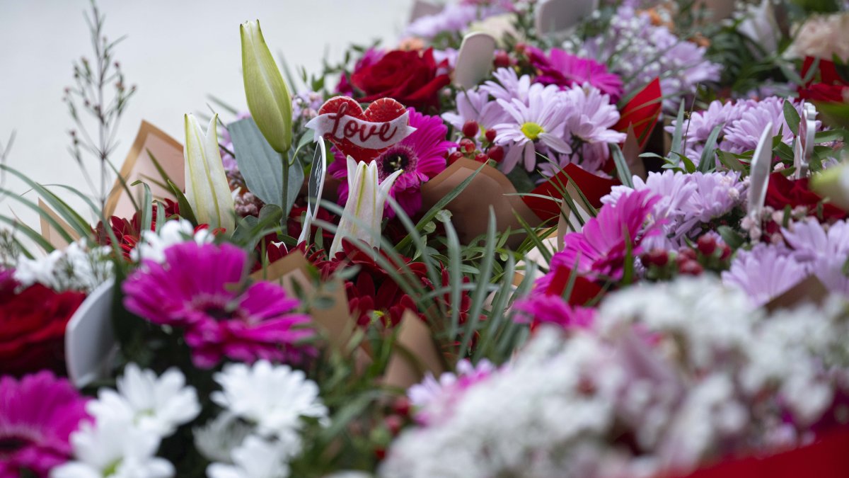 Charlotte mom gives flowers to 1,000 widows on Valentine's Day – NBC New York - Vimarsana News