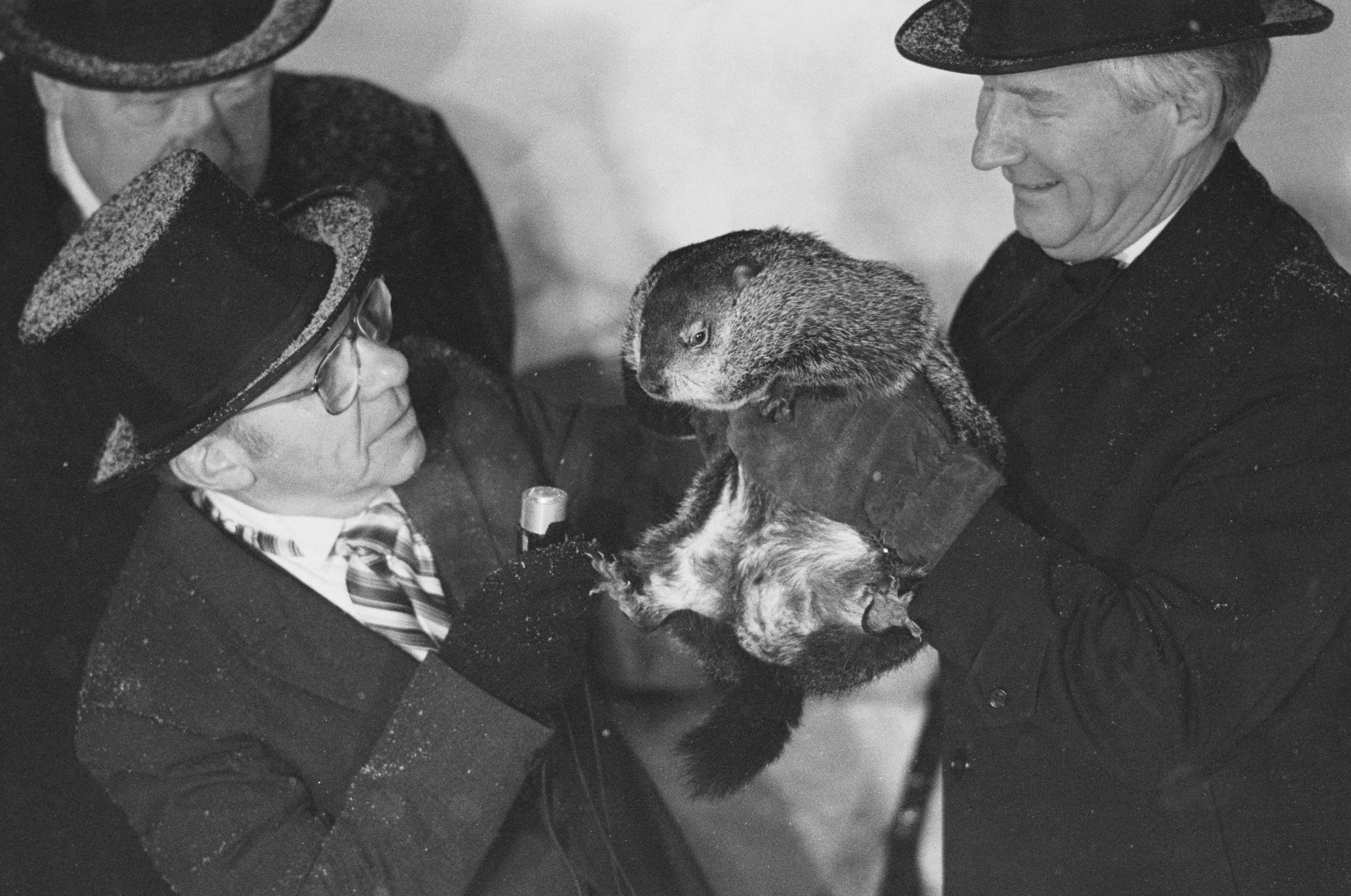 Why do we celebrate Groundhog Day? NBC New York
