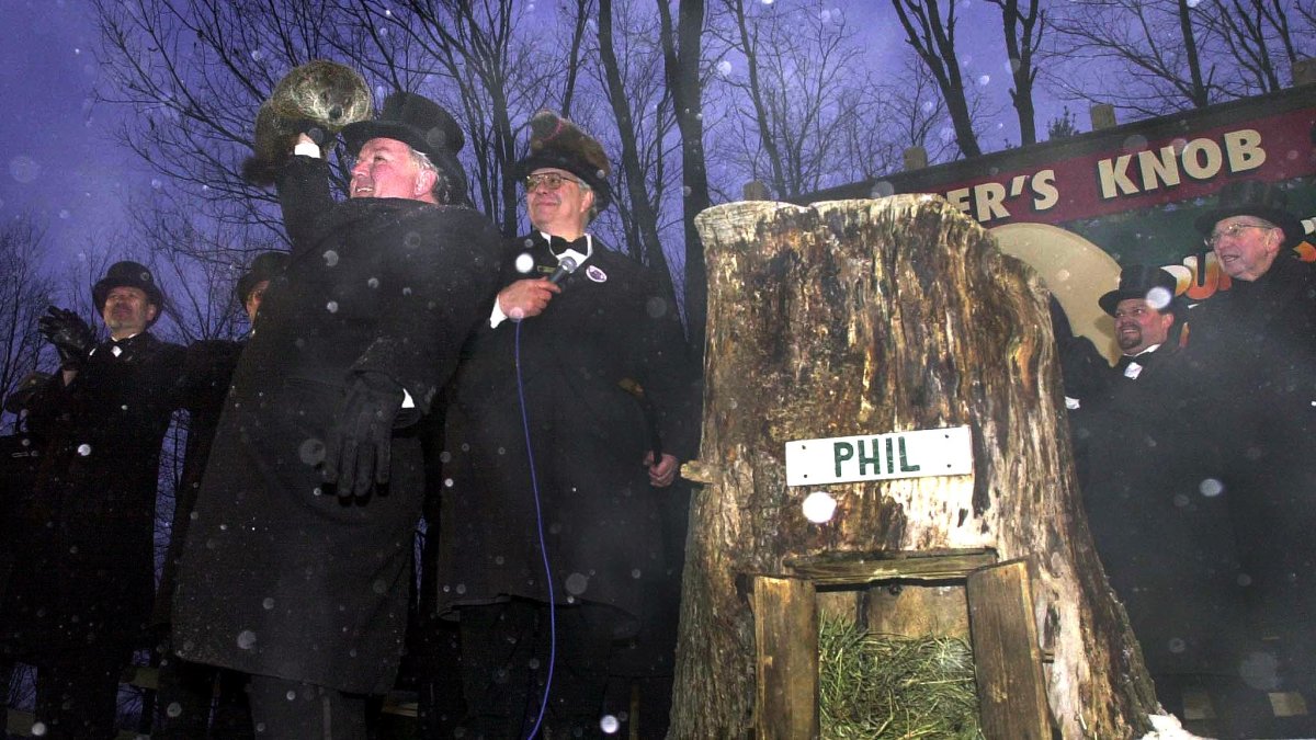 Why do we celebrate Groundhog Day? – NBC New York