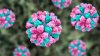 Norovirus spiking again? Here are the symptoms to watch for as cases surge