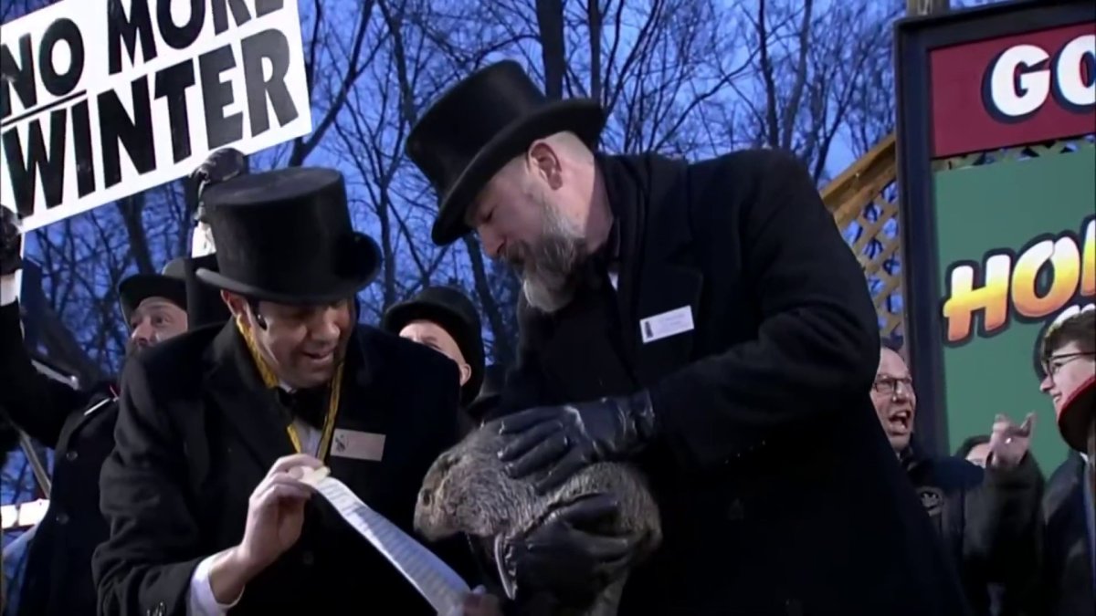 Groundhog Day 2024 forecast: Did Punxsutawney Phil see his shadow