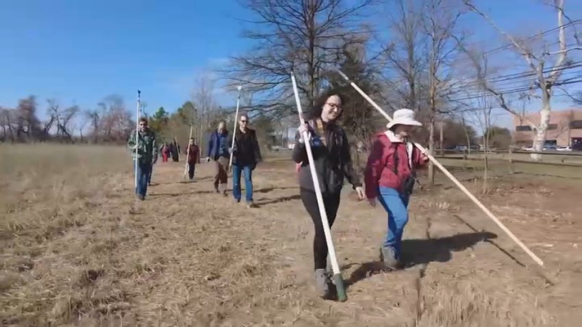 People walk with sticks