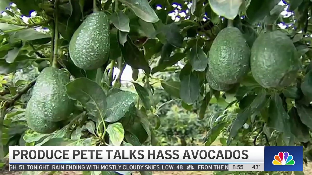 Produce Pete Hass Avocados NBC New York