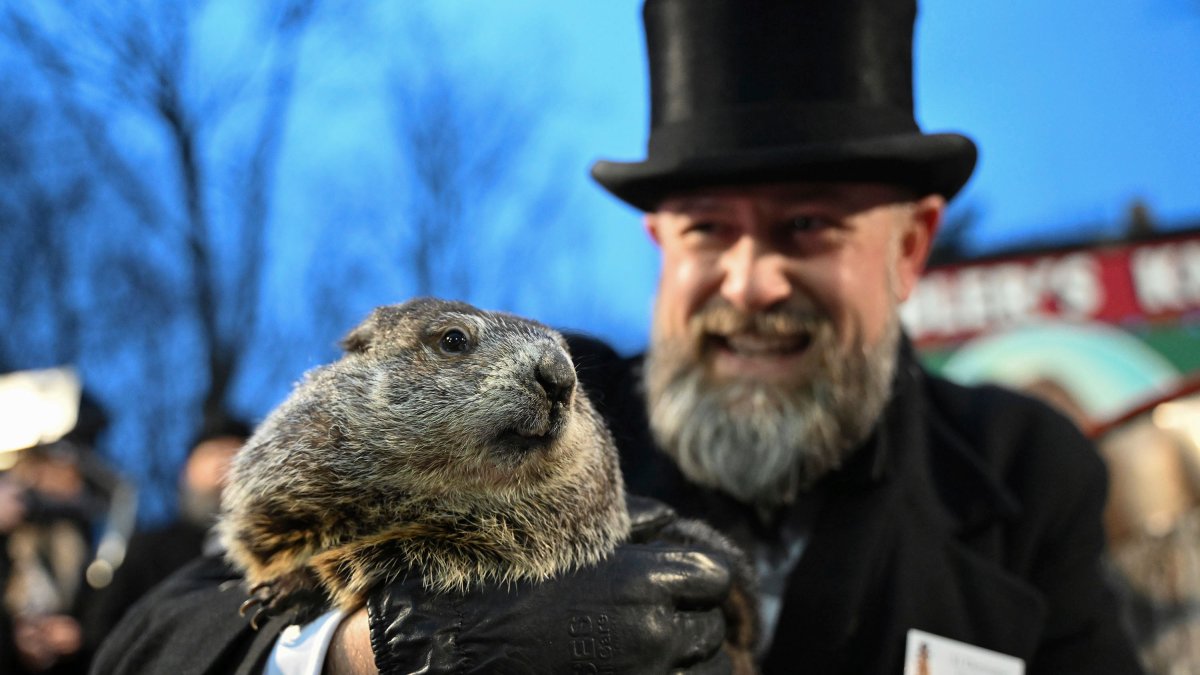 Punxsutawney Phil, the springpredicting groundhog, and wife Phyliss