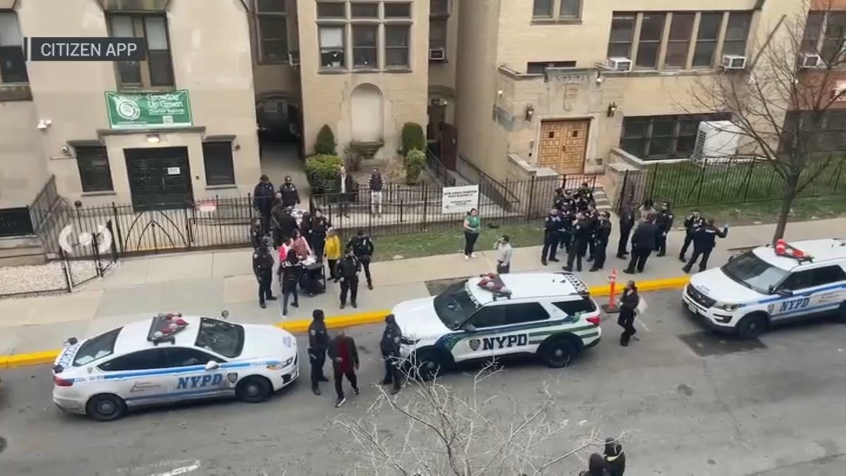 Queens news: 5 students slashed in fight at New Dawn Charter School in  Jamaica – NBC New York