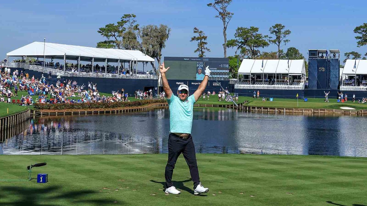 Ryan Fox makes historic hole-in-one at The Players Championship – NBC New York