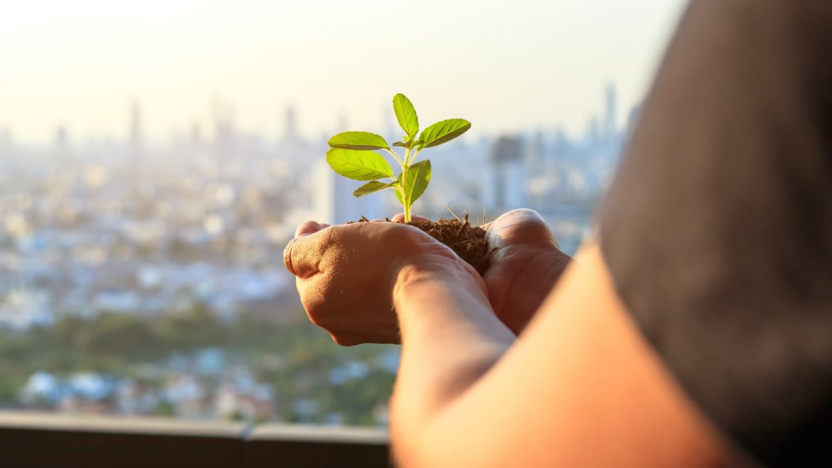 Top 10 U.S. cities for eco-conscious living—they're almost all on the West Coast - Vimarsana News