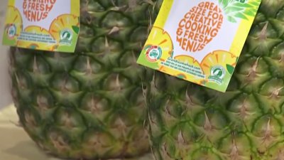 Produce Pete: Picking pineapples