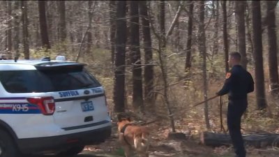 Gilgo Beach murders investigation: Search continues in wooded area of Long Island