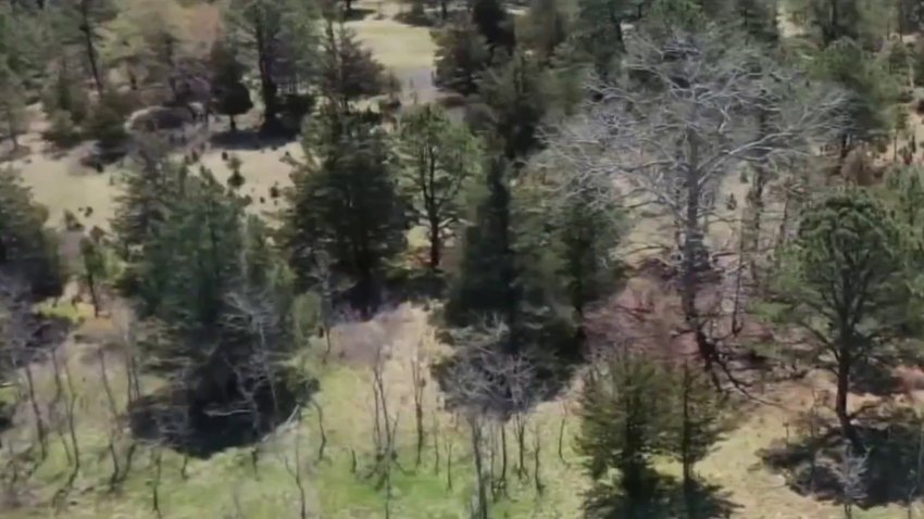 Fourth day of wooded searches linked to Gilgo Beach murders
