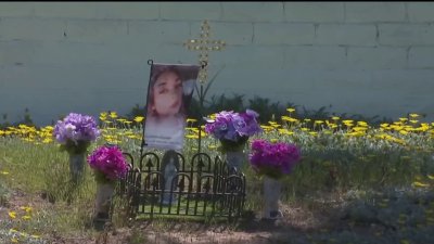 13-year-old boy killed in Escondido crash, suspected drunk diver arrested