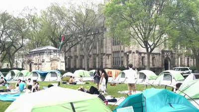 Pro-Palestinian protests continue at Yale University
