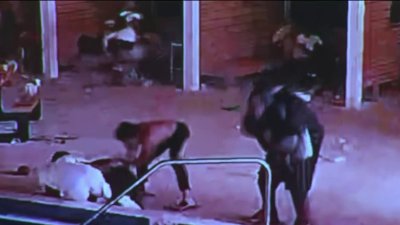 Video shows security guard grab gunman who opened fire at Florida party