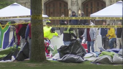 Pro-Palestinian protestors at Yale vow to return after police remove encampment