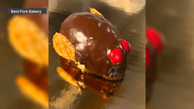Suburban bakery revives its ‘cicada cakes' as Illinois awaits emergence