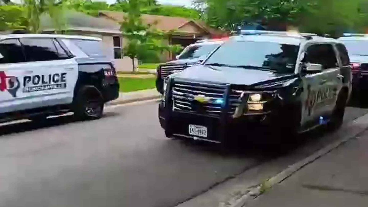 Toddler mauled to death by 3 dogs in Texas – NBC New York