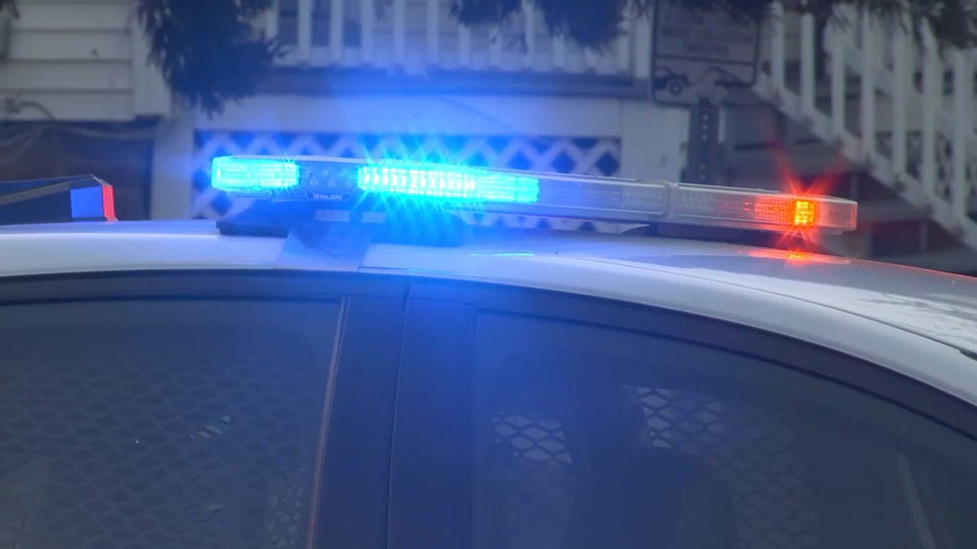 Connecticut man accused of killing and dismembering canine in New York: police