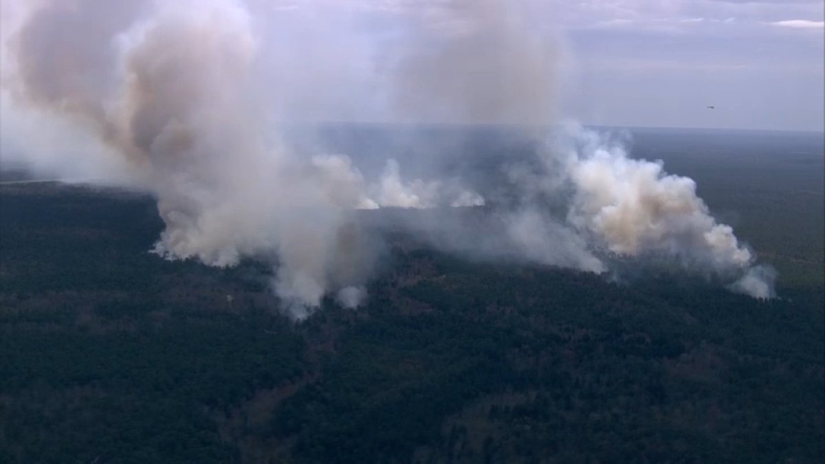 100 acres of NJ's Wharton State forest burns in wildfire – NBC New York - Vimarsana News
