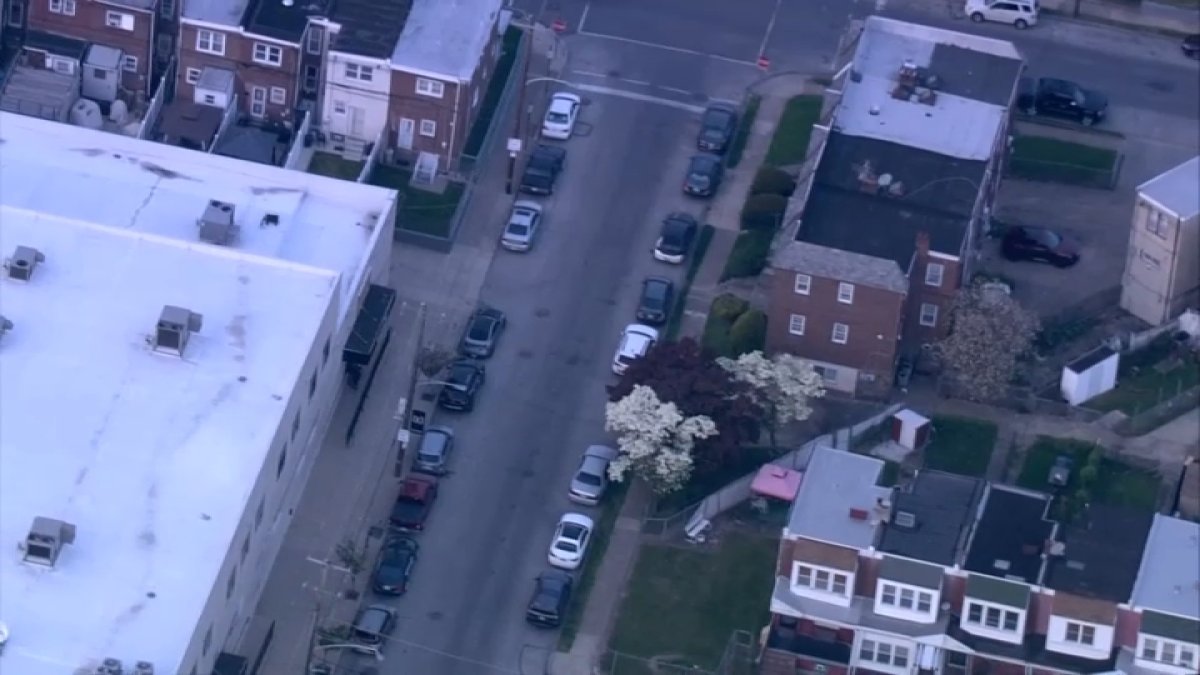 Pi tbull shot by officer after it attacked a dog in Philadelphia NBC