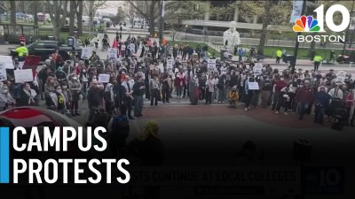 Pro-Palestinian protests continue at local colleges