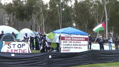UCSD students establish pro-Palestinian encampment on campus
