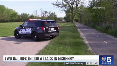 Man charged after woman randomly attacked while walking dog in suburban park: Police