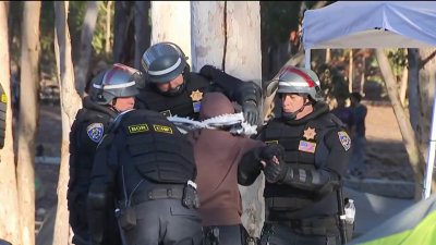 Police clear out pro-Palestinian encampment at UC San Diego; dozens arrested