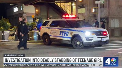 17-year-old girl stabbed to death in Queens