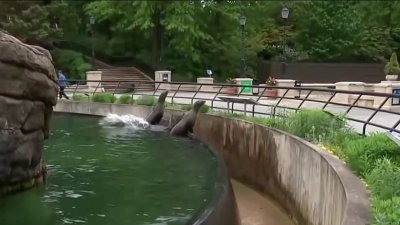 Prospect Park Zoo set to reopen Memorial Day weekend