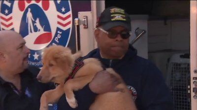Long Island veteran runs to raise funds for ‘Paws of War'