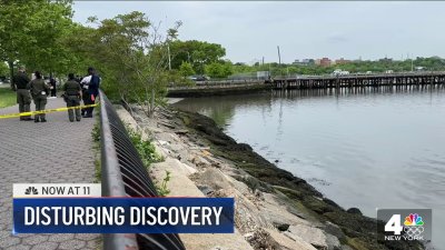Dead body found near marina in Queens