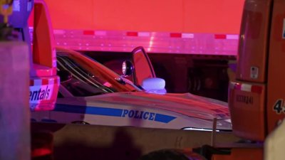 Man killed by NYPD patrol car while on Van Wyck Expressway in Queens: Police