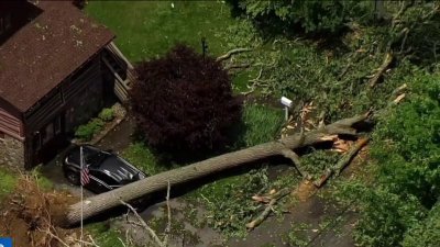 Storm brings down trees, power lines across New York and New Jersey
