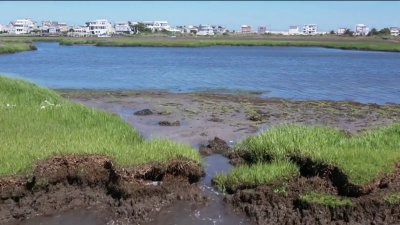 Protecting the Jersey Shore from climate change