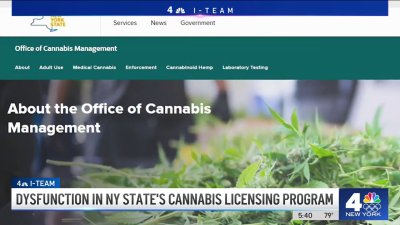 I-Team exclusive: New York state cannabis license chaos