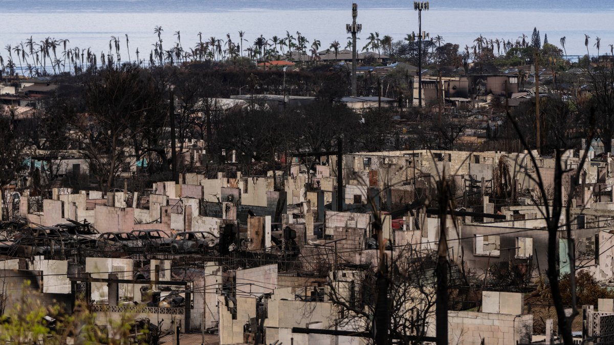 Maui sues cell carriers over wildfire warnings never received – NBC New York - Vimarsana News