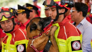 A dog named Ares licks its handler during a retirement ceremony for firefighter work dogs in Quito, Ecuador, Monday, May 20, 2024. The retired dogs were adopted by local residents.