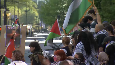 Dozens arrested at pro-Palestinian demonstration on Art Institute of Chicago campus