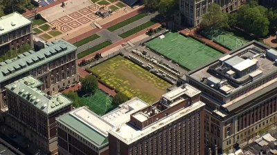 See Columbia University's lawn after encampment is cleared
