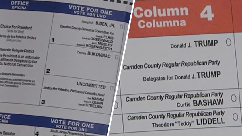 A look at the different ballots for the upcoming New Jersey primary elections.