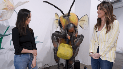 Celebrate the wonders of the insect world at Imaginari