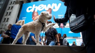 A dog hi-fives it’s owner in front of the New York Stock Exchange (NYSE) during Chewy Inc.’s initial public offering (IPO) in New York, U.S., on Friday, June 14, 2019.