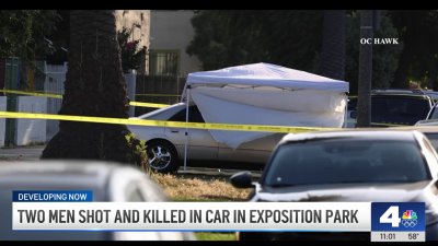 2 brothers shot to death in Exposition Park