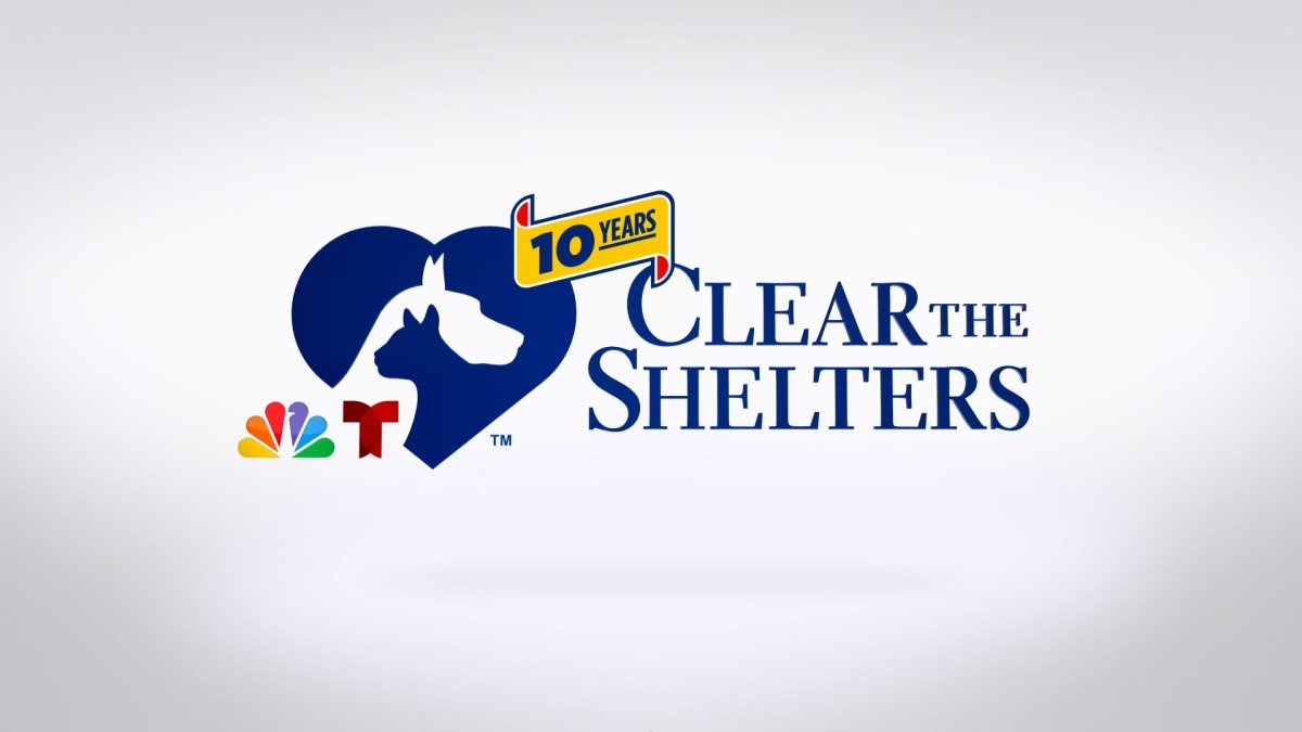 Clear the Shelters returns for 10th campaign – NBC New York