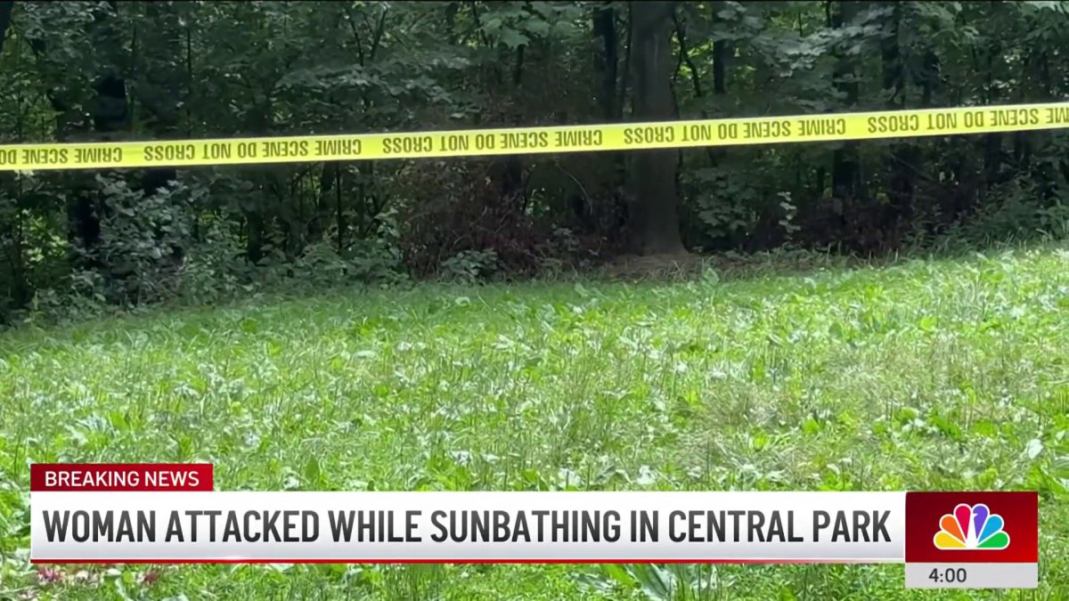 Central Park Sunbather Attacked By Man Who Jumped On Top Of Her