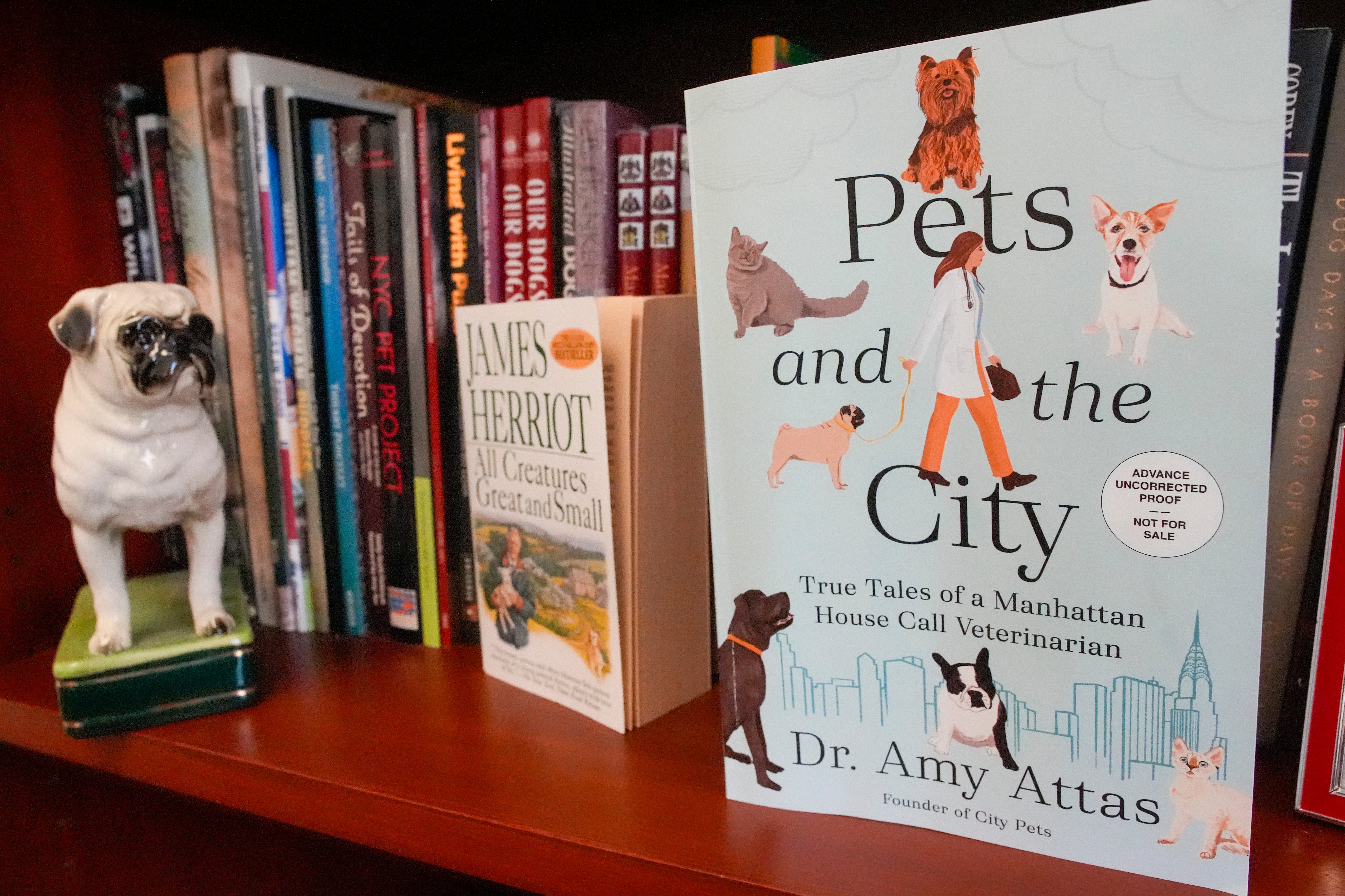New York City news: Veterinarian who makes house calls writes book – NBC New York - Vimarsana News