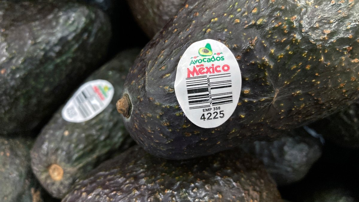 US to resume avocado inspections in Mexico’s Michoacan state NBC New York