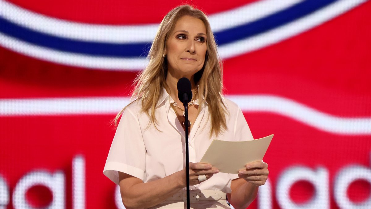 Céline Dion makes surprise appearance at NHL Draft